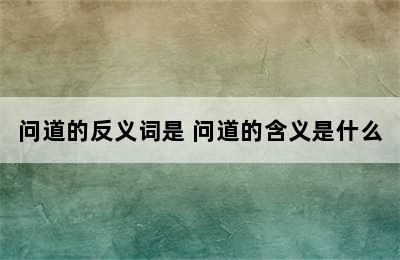 问道的反义词是 问道的含义是什么